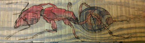 IMAG0183-1.jpg image